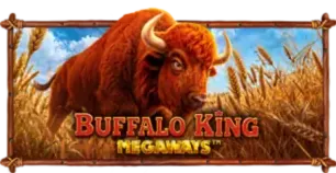 ภาพเกม Buffalo King Megaways ที่ option99 รวบรวมไว้
